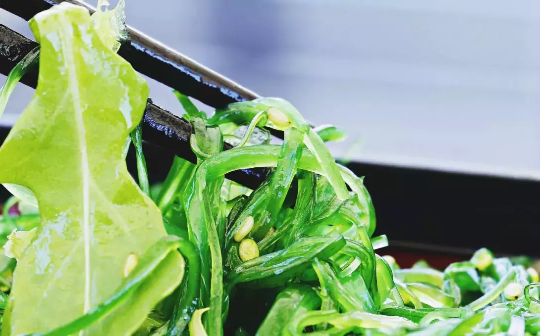 Πράσινη σαλάτα, πλούσια σε γεύση και υγιεινή!